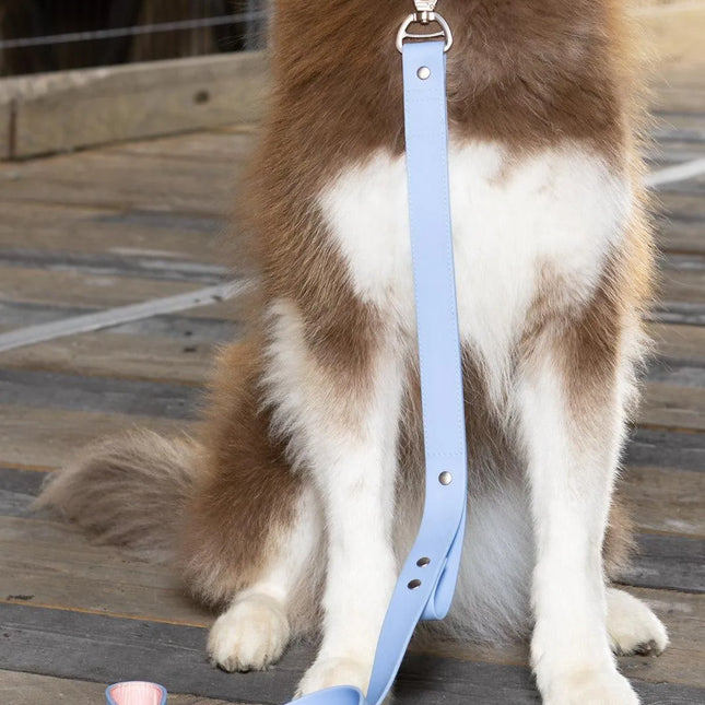 Blue Sky Orchid Waterproof Leash