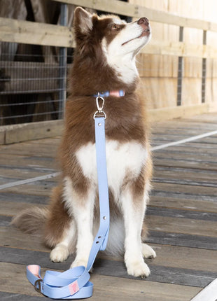 Blue Sky Orchid Waterproof Dog Collar