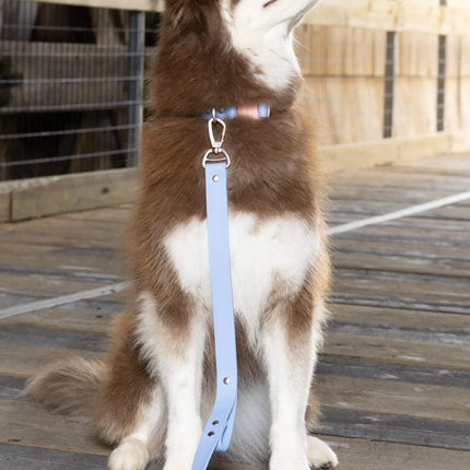 Blue Sky Orchid Waterproof Dog Collar