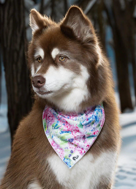 Hydrangea Haven Dog Bandana