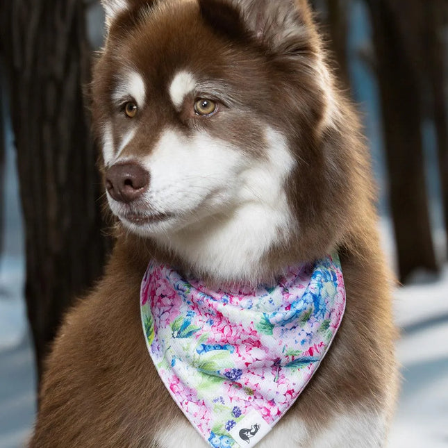 Hydrangea Haven Dog Bandana
