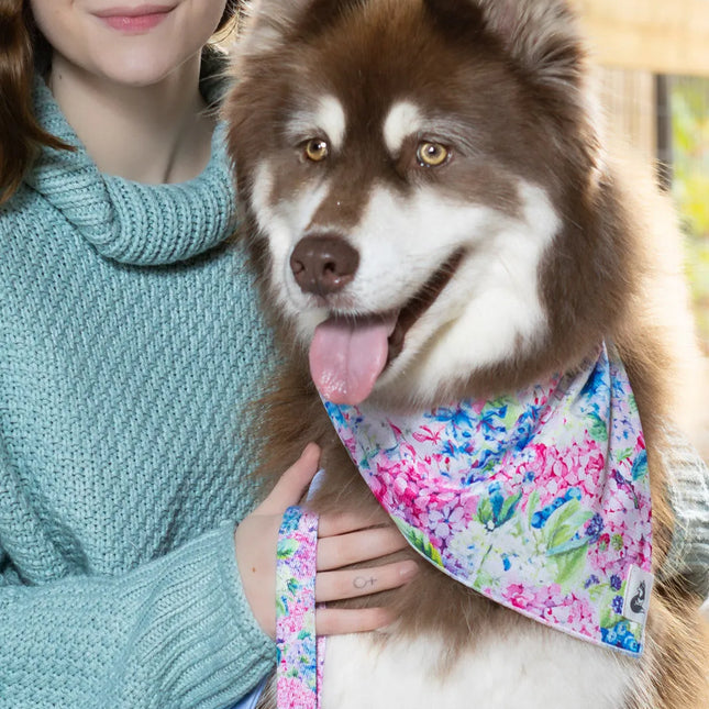 Hydrangea Haven Dog Bandana & Matching Keychain