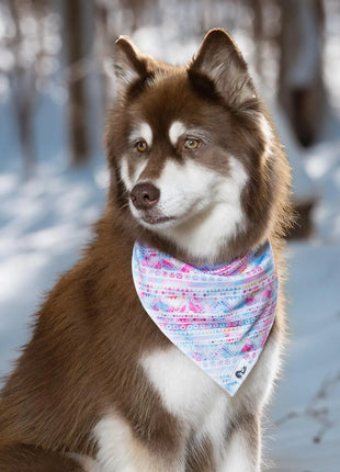Pink and Blue Tribal Dog Bandana & Matching Keychain