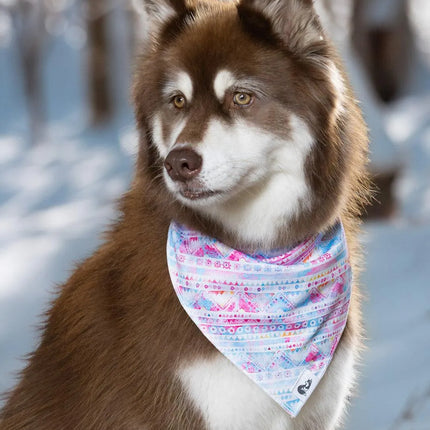 Pink and Blue Tribal Dog Bandana & Matching Keychain