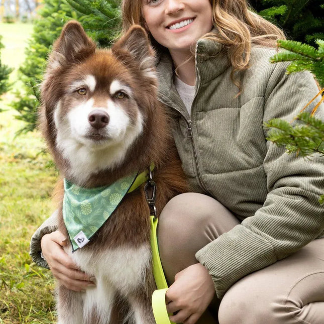 Mossy Pine Waterproof Leash
