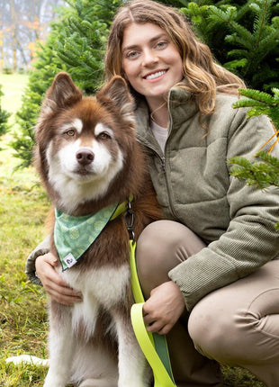Pine Cone Pup Bandana