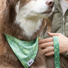 Pine Cone Pup Bandana & Matching Keychain