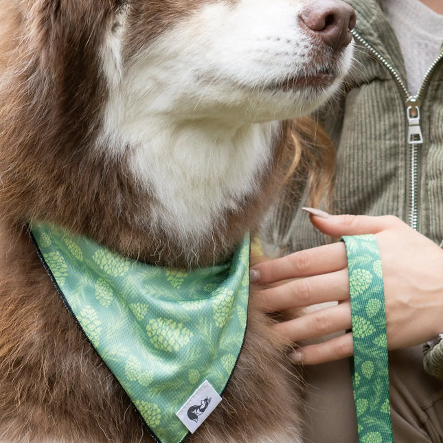 Pine Cone Pup Bandana & Matching Keychain