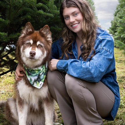 Evergreen Explorer Dog Bandana