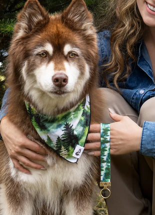 Evergreen Explorer Dog Bandana & Matching Keychain