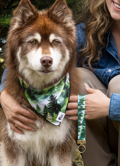 Evergreen Explorer Dog Bandana & Matching Keychain