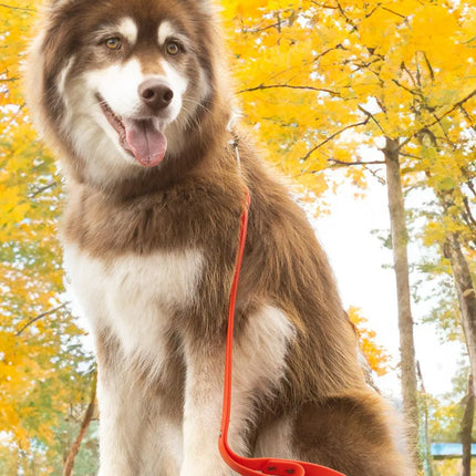 Scarlet Peaks Waterproof Dog Collar