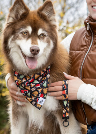 Woodland Tales Dog Bandana & Matching Keychain