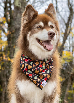 Woodland Tales Dog Bandana & Matching Keychain