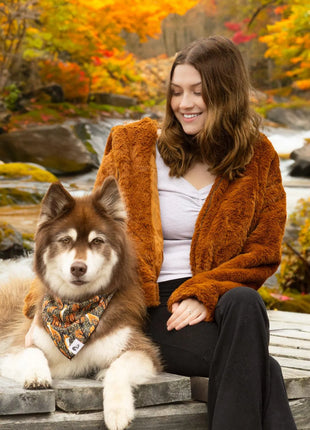 Foxes in Fall Dog Bandana