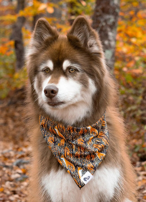 Foxes in Fall Dog Bandana