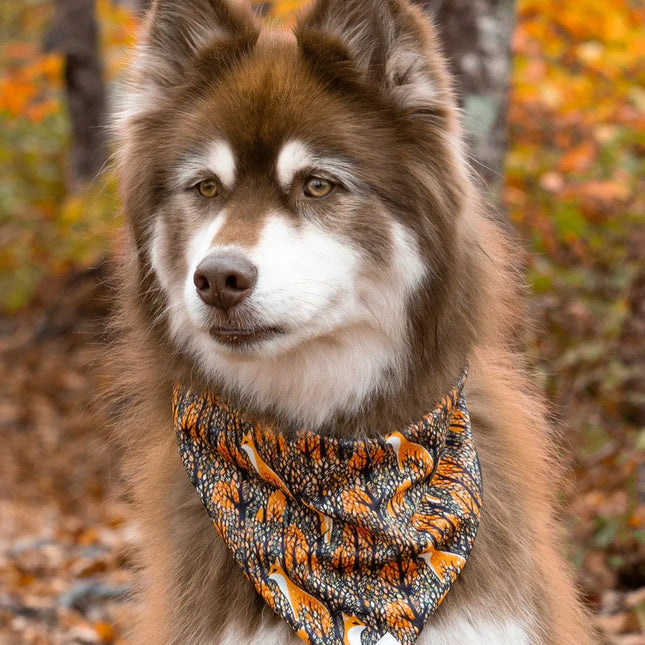 Foxes in Fall Dog Bandana