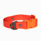 Autumn Red / Flame Orange