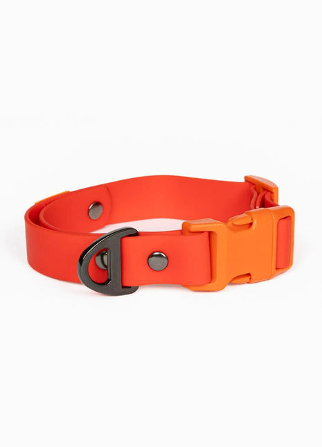 Scarlet Peaks Waterproof Dog Collar