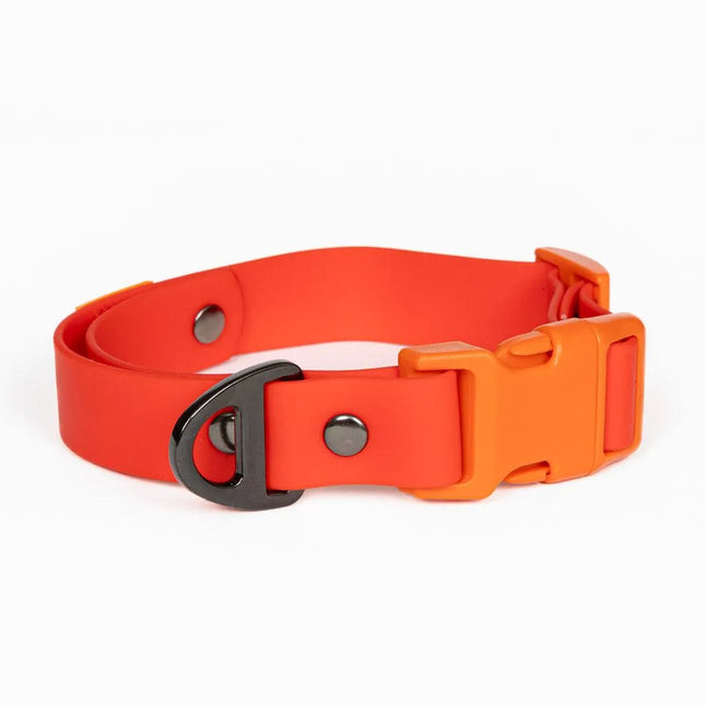 Scarlet Peaks Waterproof Dog Collar