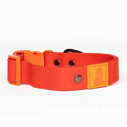Scarlet Peaks Waterproof Dog Collar