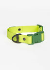 Chartreuse / Willow Green / 11 - 13