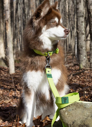 Mossy Pine Waterproof Leash