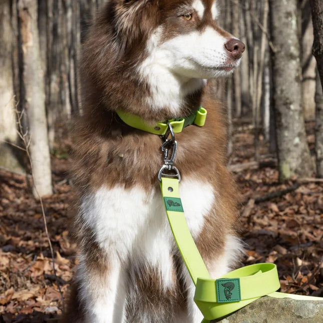 Mossy Pine Waterproof Leash