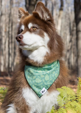 Pine Cone Pup Bandana & Matching Keychain