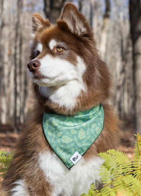 Pine Cone Pup Bandana & Matching Keychain