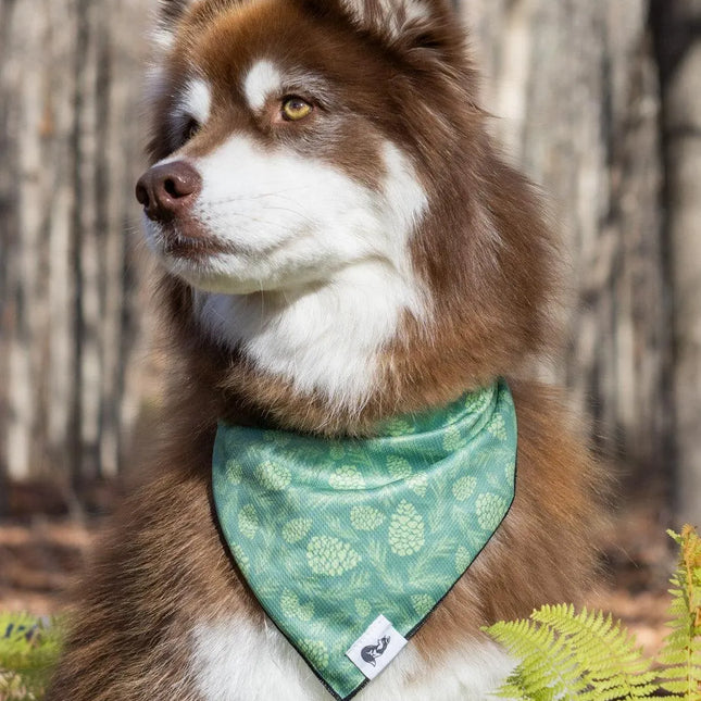 Pine Cone Pup Bandana & Matching Keychain