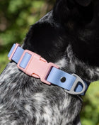 Blue Sky Orchid Waterproof Dog Collar