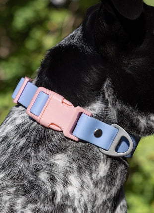Blue Sky Orchid Waterproof Dog Collar