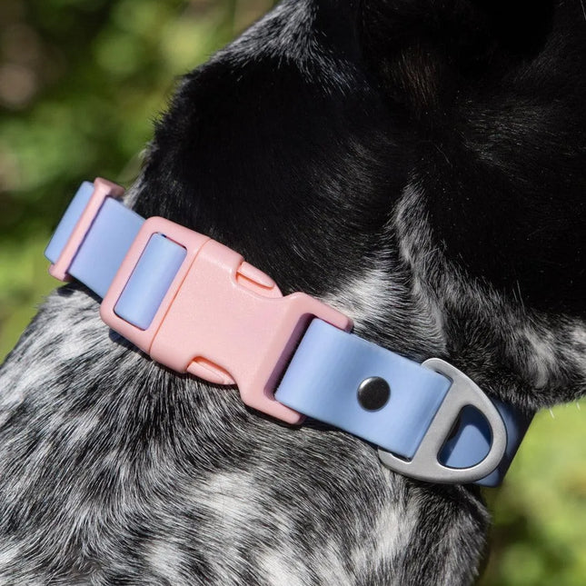 Blue Sky Orchid Waterproof Dog Collar