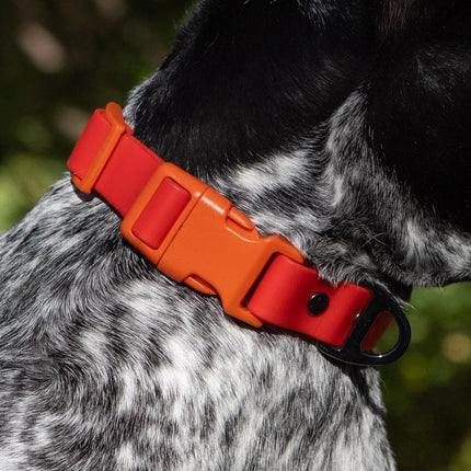 Scarlet Peaks Waterproof Dog Collar
