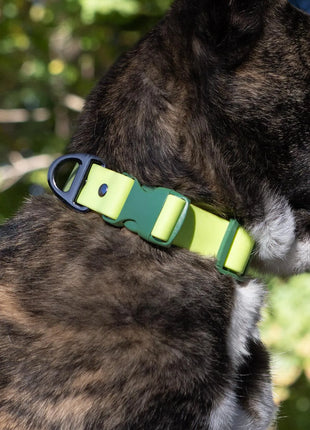 Mossy Pine Waterproof Dog Collar