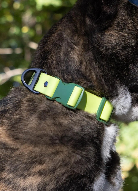 Mossy Pine Waterproof Dog Collar