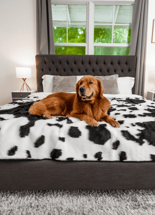 PupProtector™ Waterproof Throw Blanket - Black Faux Cowhide