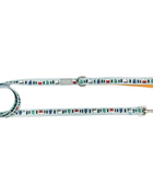 Snowy Slopes Leash - Pup List