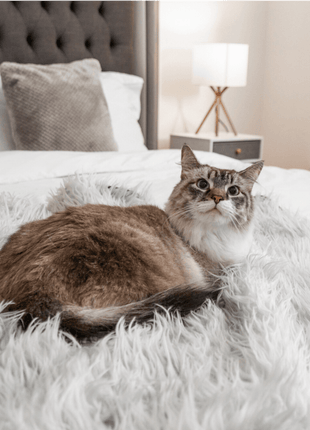 CatNap™ Anti-Scratch & Waterproof Throw Blanket - Grey