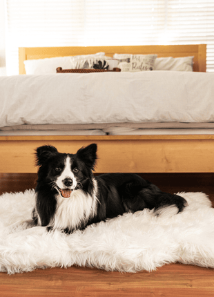PupRug by Paw.com® Faux Fur Orthopedic Dog Bed - Curve Polar White