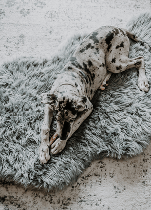 PupRug by Paw.com® Faux Fur Orthopedic Dog Bed - Curve Charcoal Grey