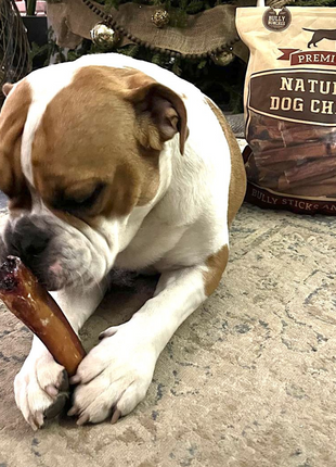 6 Inch Monster Bully Stick