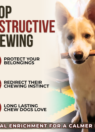 6 Inch Monster Bully Stick