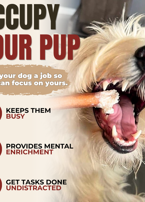 6 Inch Standard Bully Stick