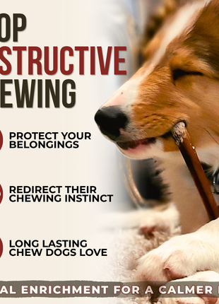 6 Inch Standard Bully Stick