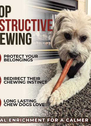 6 Inch Thick Bully Stick