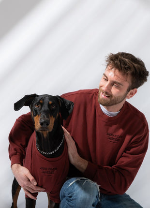 Terry Pullover