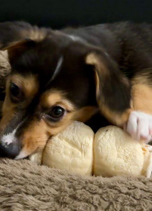 5-6 Inch Beef Cheek Roll