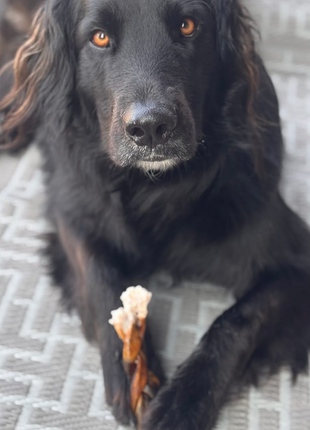 5-6 Inch Braided Collagen Stick